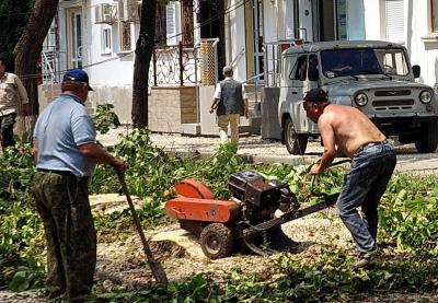 Прикрепленное изображение: фреза .jpg